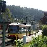 Sonnenhalde Mit Schoener Aussicht דירה *