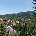 Sonnenhalde Mit Schoener Aussicht דירה