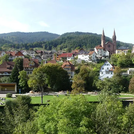 Sonnenhalde Mit Schoener Aussicht