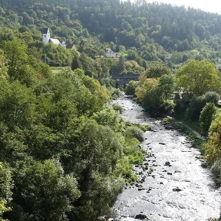 Apartamento Sonnenhalde Mit Schoener Aussicht Forbach