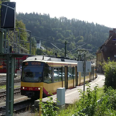 Sonnenhalde Mit Schoener Aussicht Апартаменты *