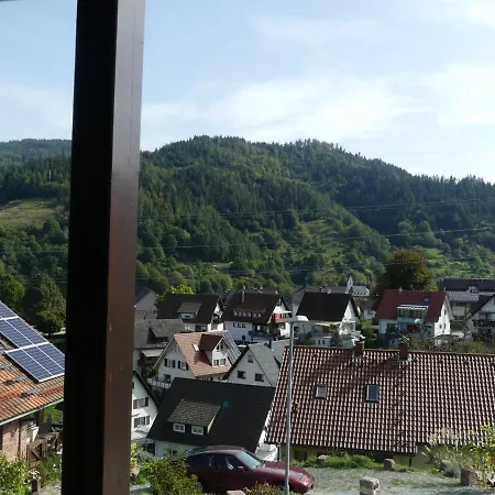 Sonnenhalde Mit Schoener Aussicht Forbach