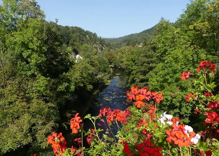 Lägenhet Sonnenhalde Mit Schoener Aussicht Forbach