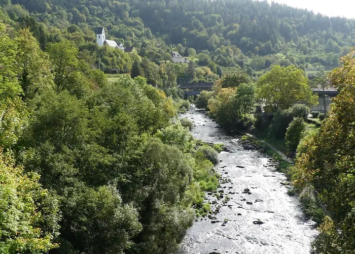 Lägenhet Sonnenhalde Mit Schoener Aussicht Forbach