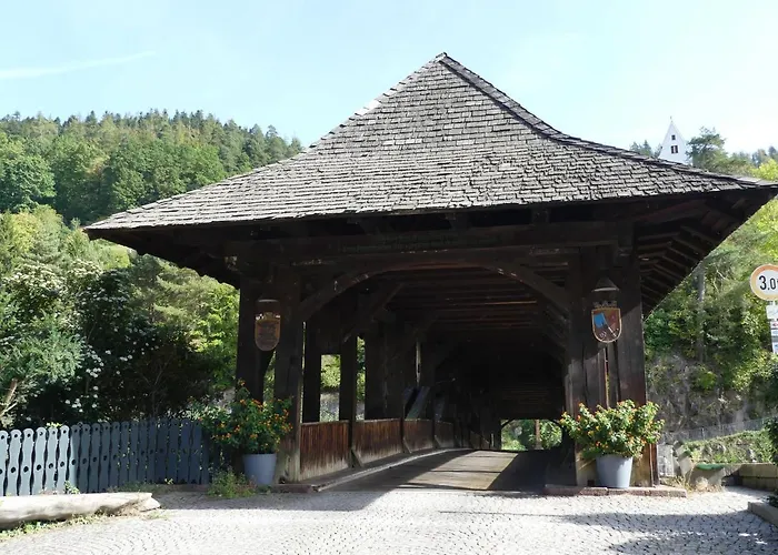 Sonnenhalde Mit Schoener Aussicht Апартаменты Форбаш